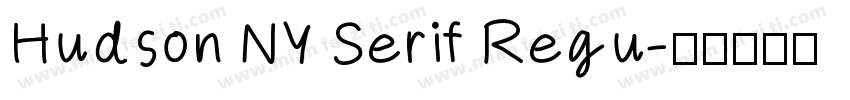 Hudson NY Serif Regu字体转换